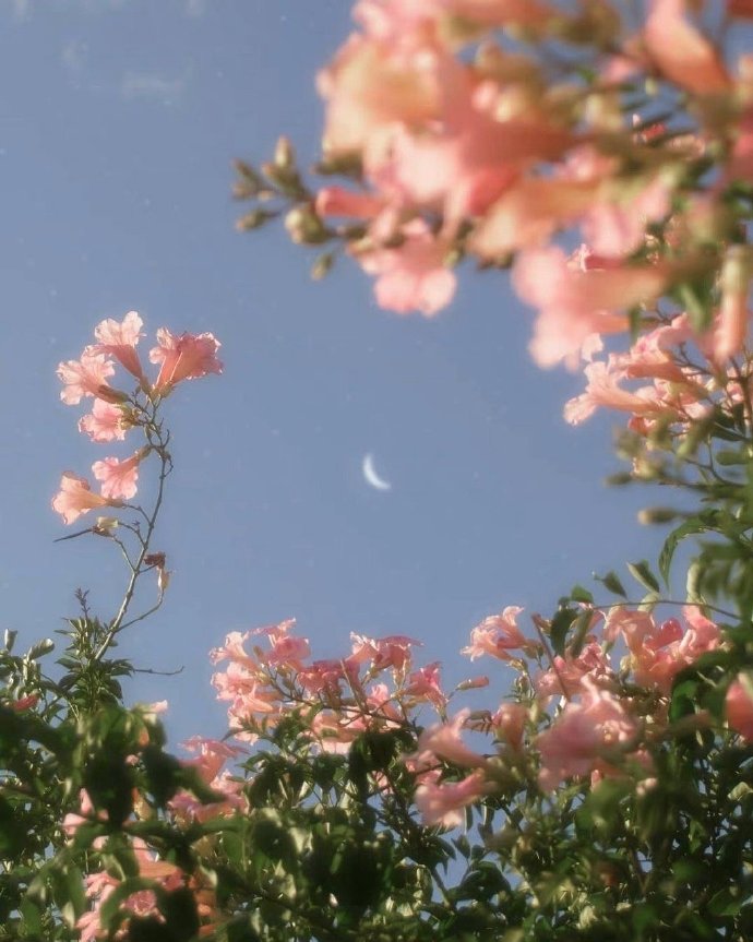 夫妻之间的关系离结束不远,真正夫妻争吵过后还是在一起