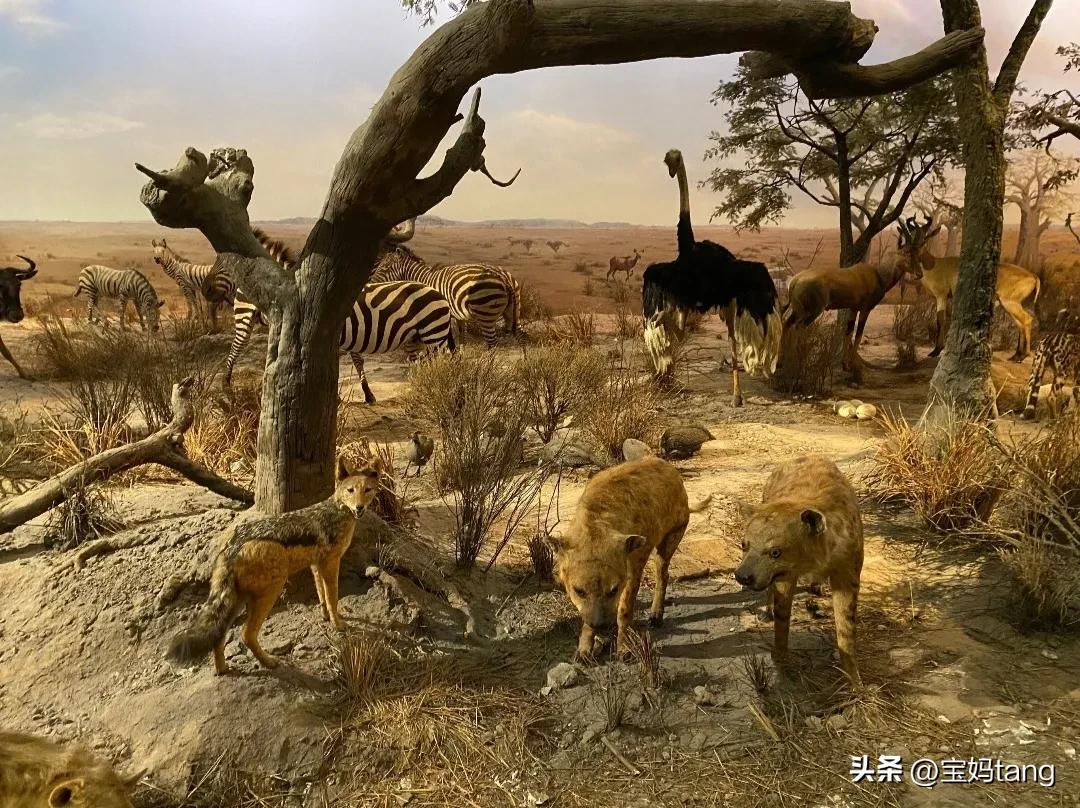 上海科技馆游玩全攻略,上海科技馆儿童馆攻略