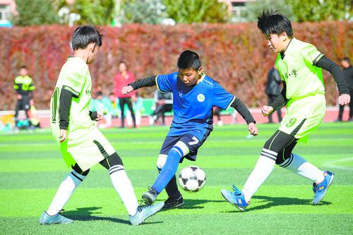 赤峰这些教育机构登上教育部榜单