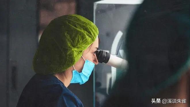 白斑病毒对对虾的影响,白对虾白斑病毒