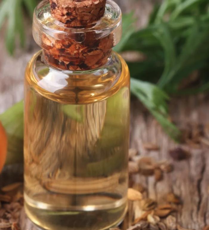 韩国美容新趋势,韩国整形美容发展趋势