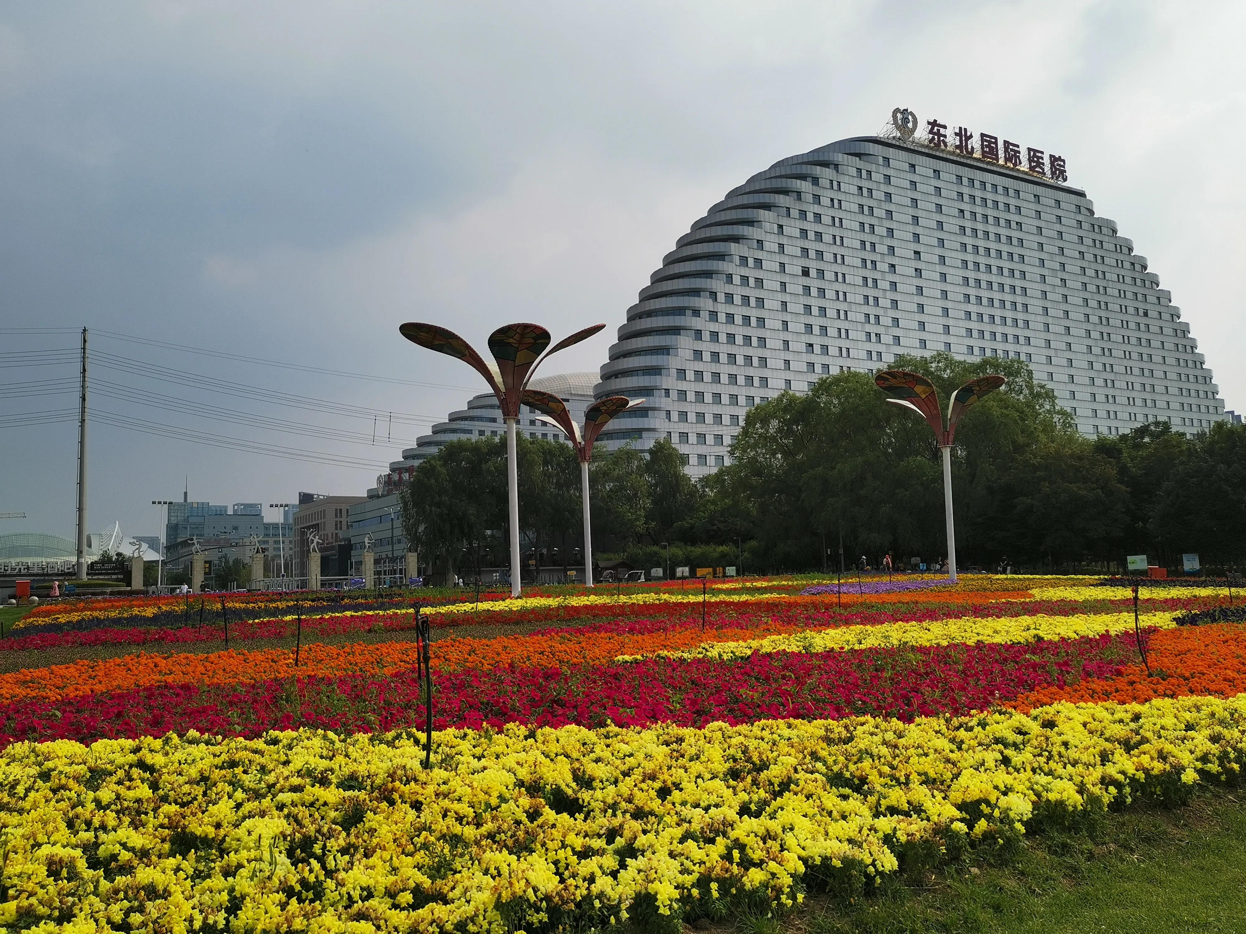 沈阳奥林匹克生态公园划船,浑南滨河公园