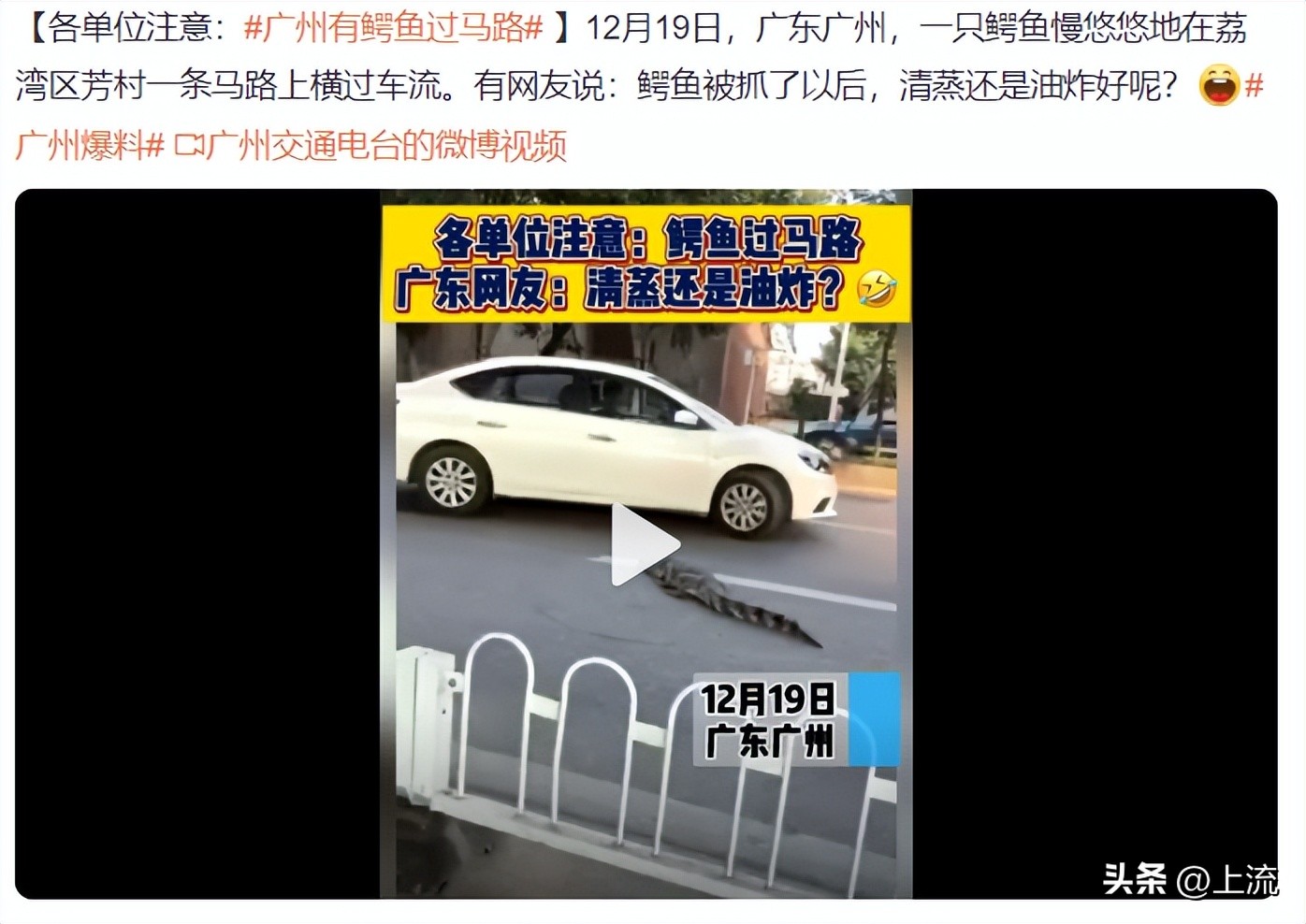 再“鳄”贯满盈的鳄鱼,也逃不出广东人的砂锅煲