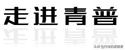 王功权：青普将是我最后一个创业项目
