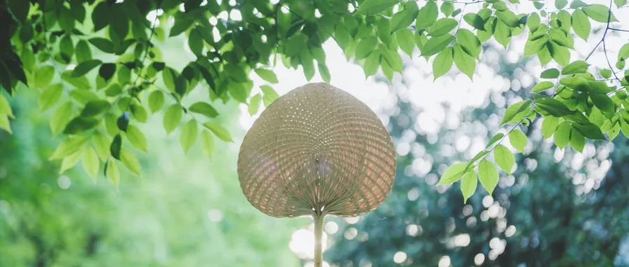 三伏小暑大暑,大暑三宜三忌