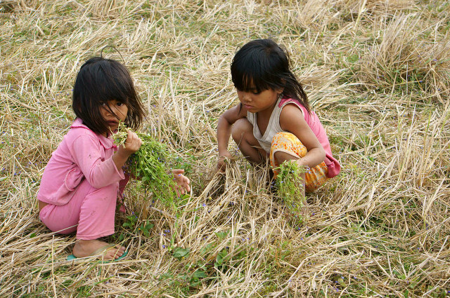 舅舅去世，哥哥对弟弟说：上次姑姑去世我去的，这次该你去了