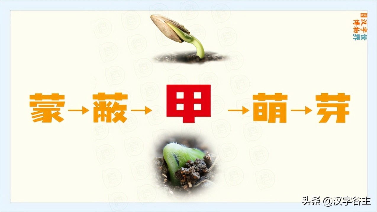 姹夊瓧妞嶇墿,鑽夋湪姹夊瓧