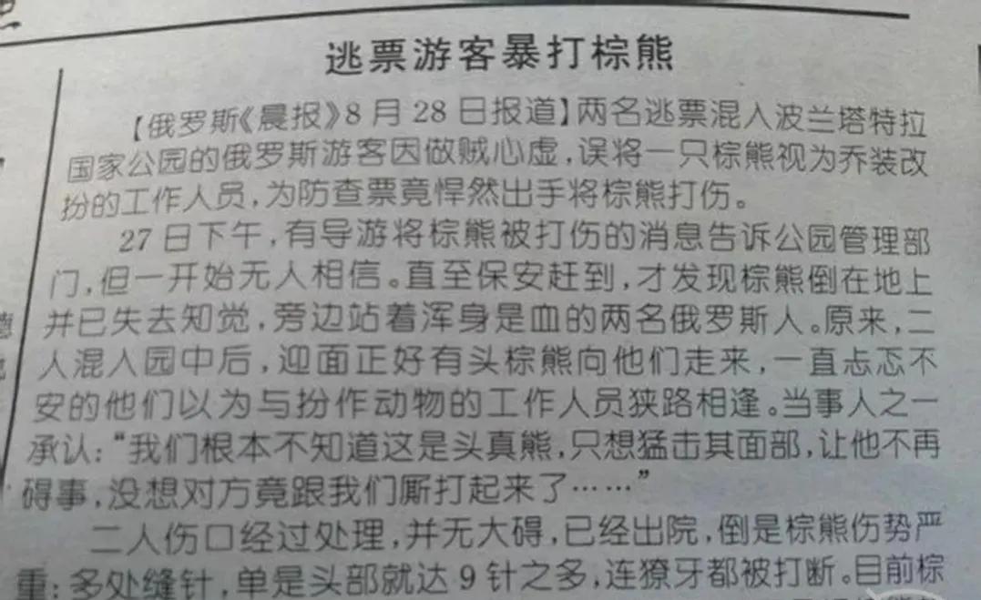 俄罗斯游客逃票打棕熊,俄罗斯两逃票男子把棕熊打成重伤