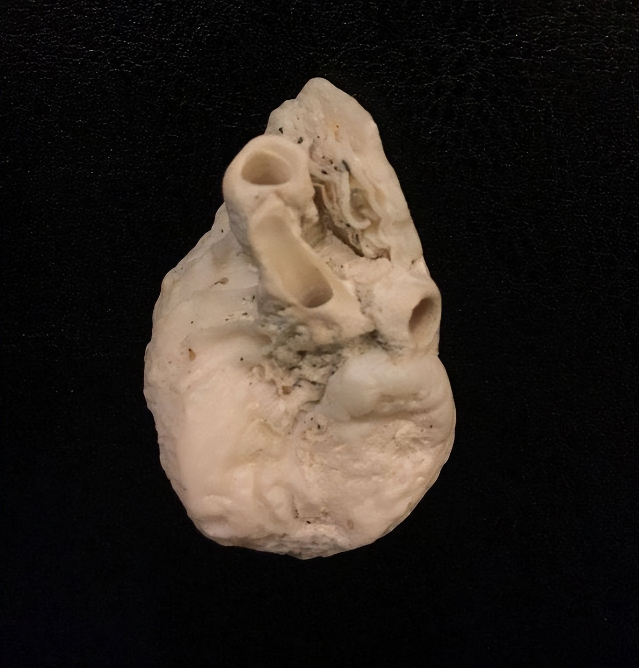 美丽的大自然的作文,美丽的大自然现代诗