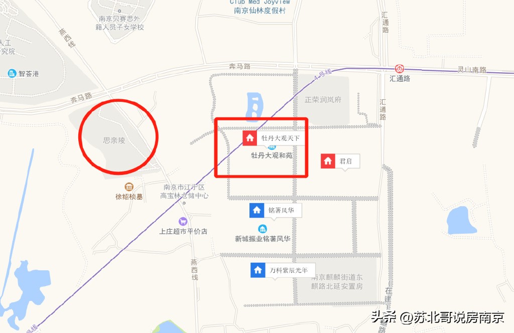 南京汇通路黑牡丹大观天下开发商,汇通路牡丹大观