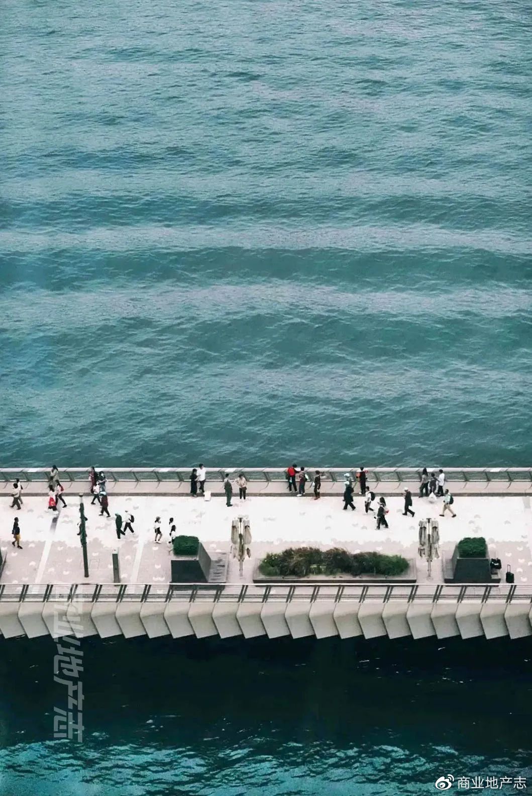 CRR杂谈|HK7日，我与7个香港商业人的深聊记录