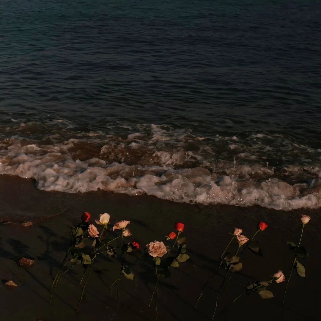 背景图ins风鲜花,ins复古黑色鲜花壁纸