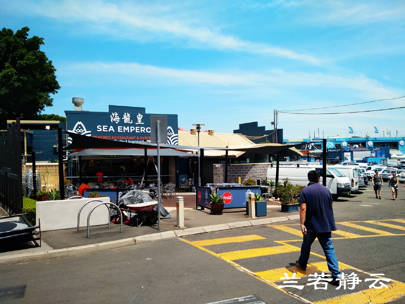 悉尼最大的海鲜鱼市场在哪里,海鲜市场澳洲龙虾