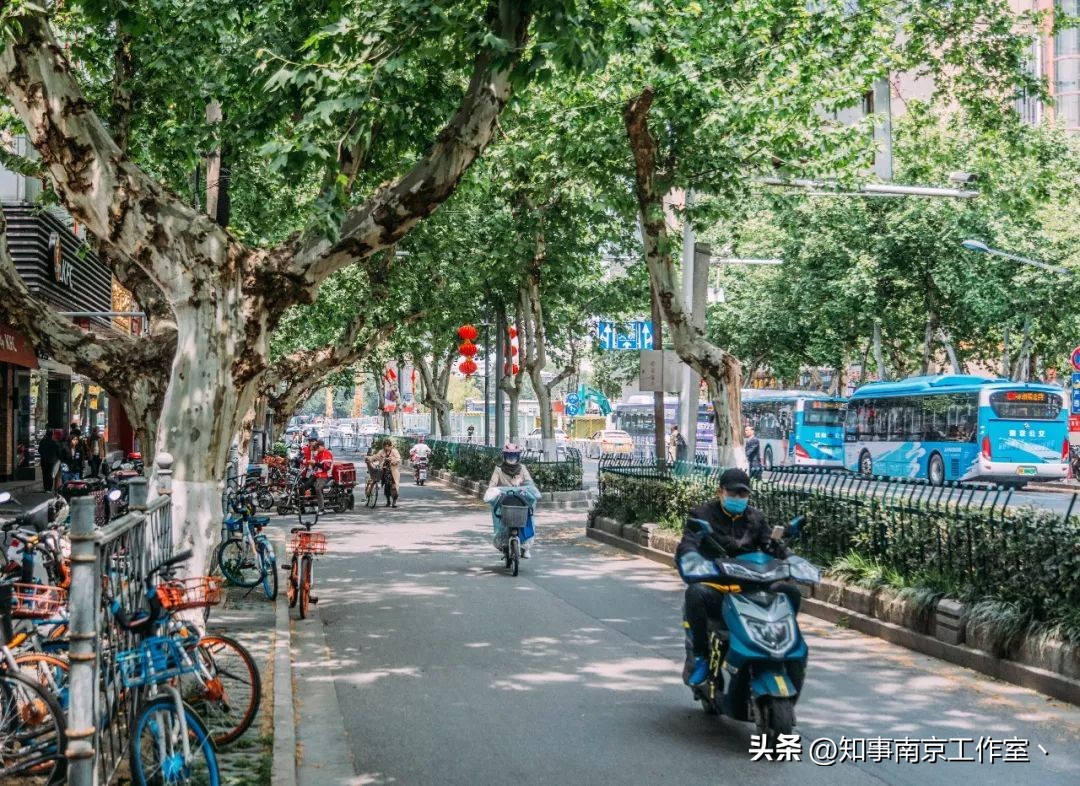 山西路,南京人不想和你说再见。