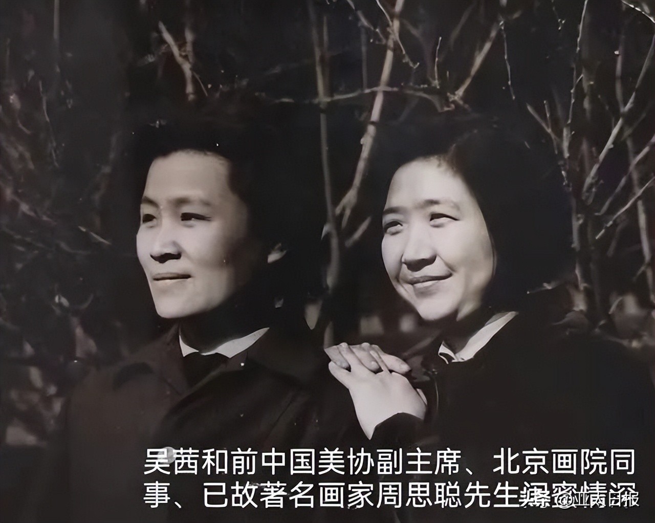 最后的大家闺秀张家四姐妹,最后的大家闺秀写的书