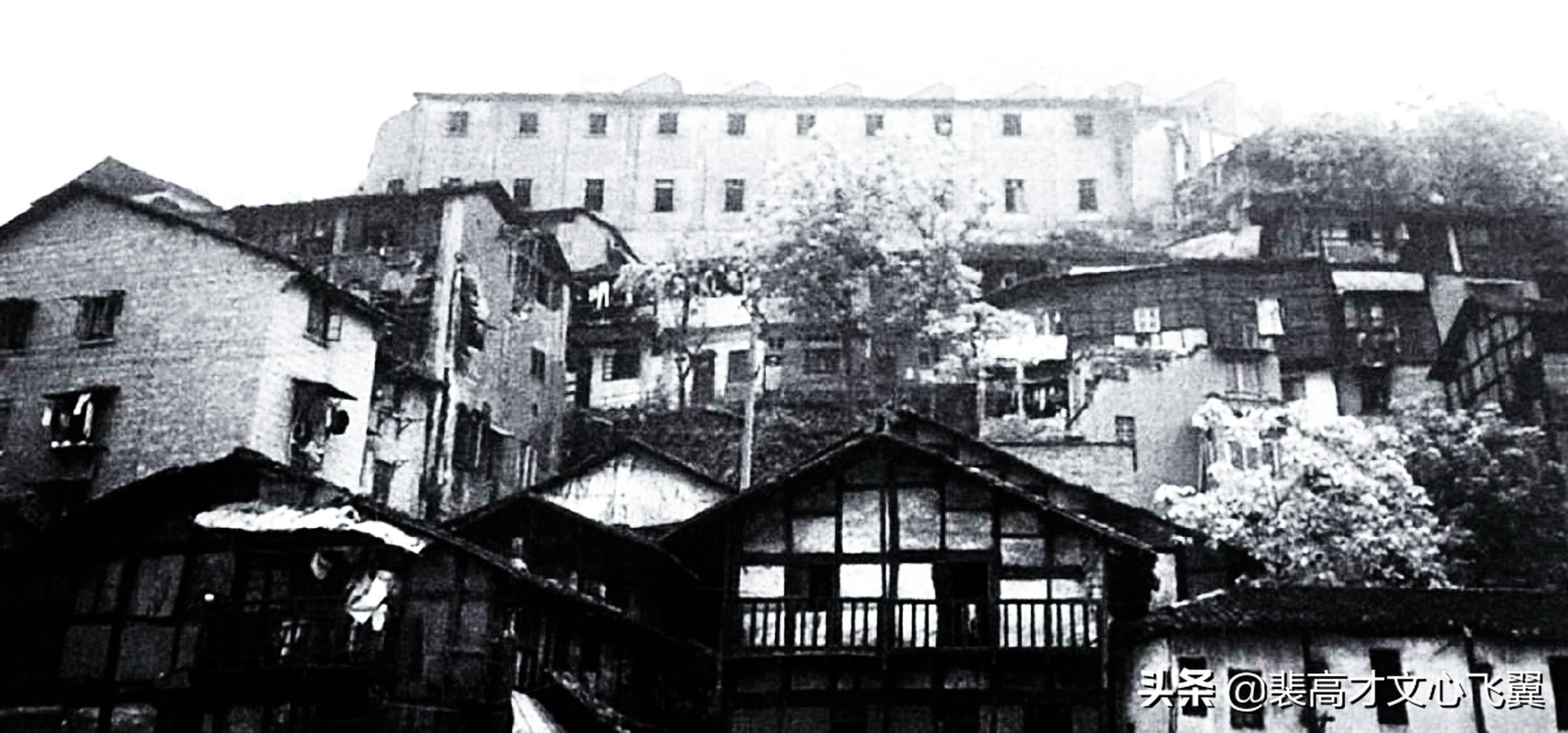 裴高才、周挥辉:河山俱永,国族无疆-陈时率中华师生烽火弦歌