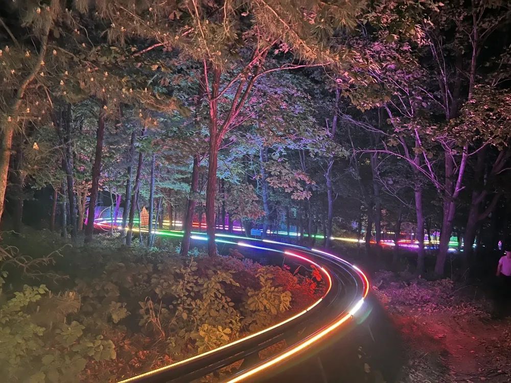 长春必去十大网红地,来长春打卡每日更新哪家火爆