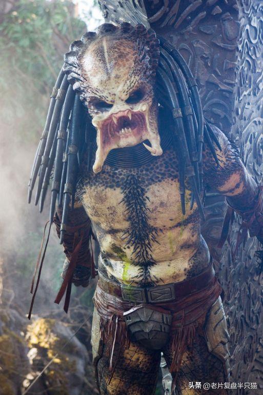 铁血战士铁血异形有多强,铁血战士铁血异形顺序