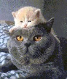 “车间女孩约我去她宿舍玩，这时候应该干点什么？”哈哈哈