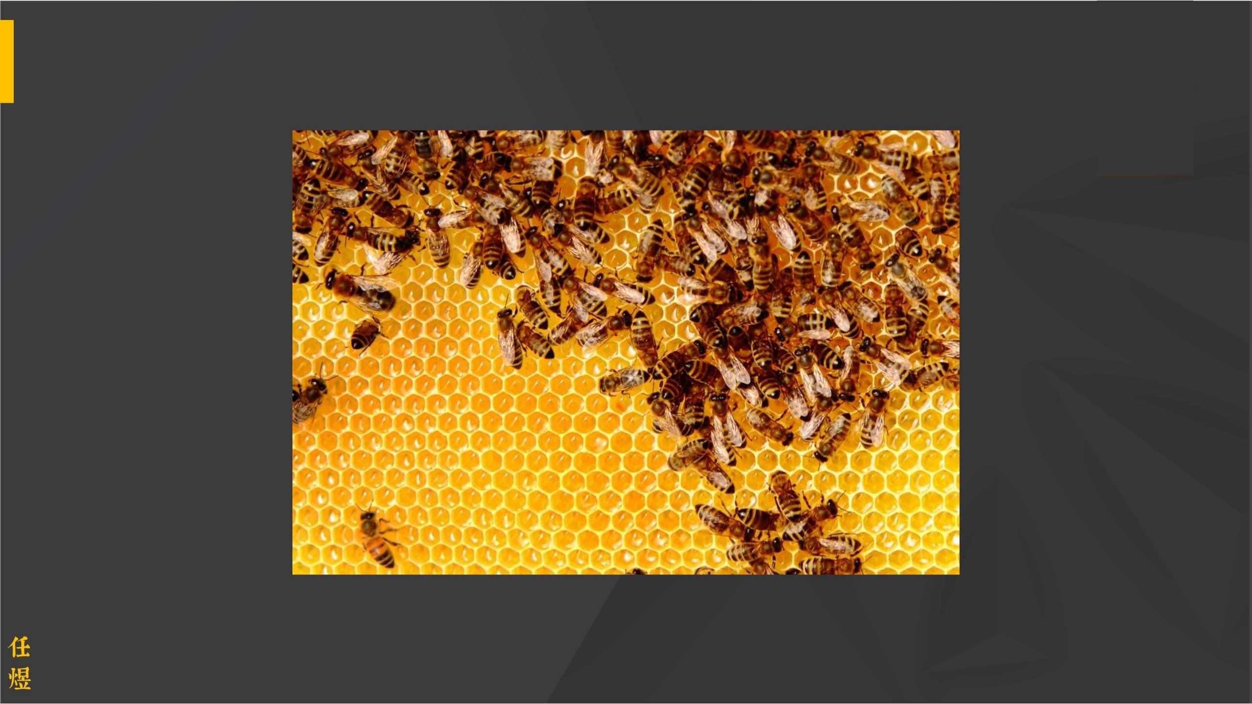 世界经典商业案例,世界经典营销案例800例