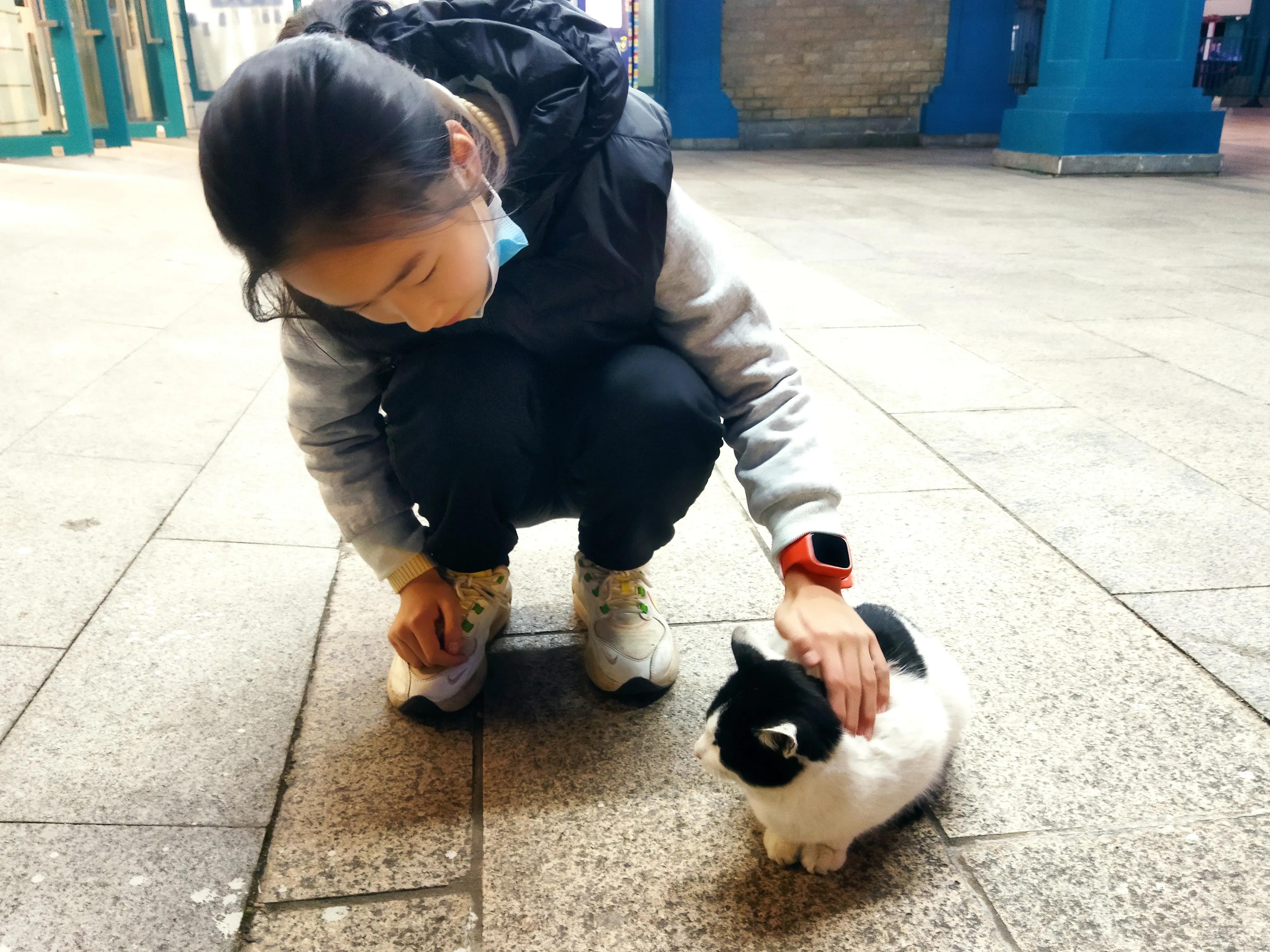 连续失眠怎么办,连续失眠是什么原因造成的