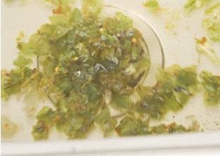 下水道水管堵塞最快的疏通方法,下水道堵塞用水瓶怎么弄