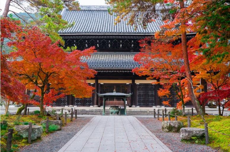 日本京都塔旅游,京都祗园自由行热门攻略
