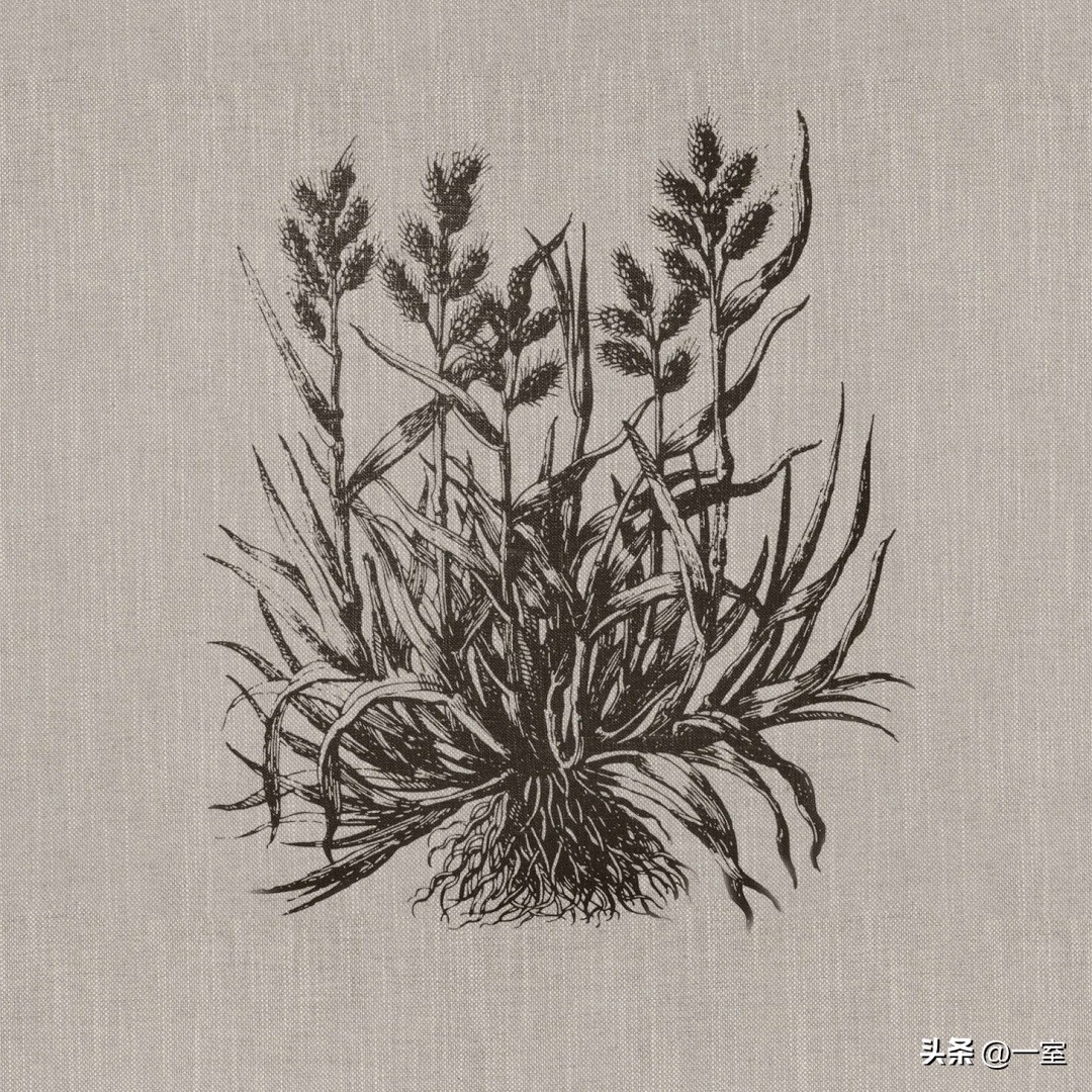 材质贴图高清大图,衣柜材质贴图素材网站