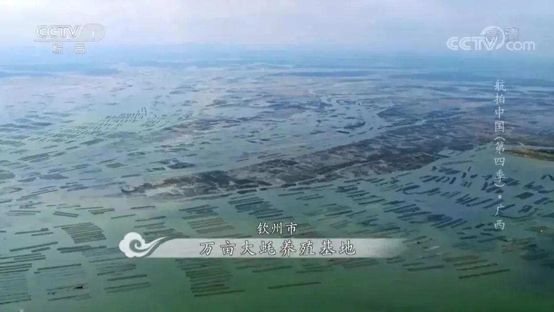 航拍中国广西第四季解说词,航拍中国第四季广西在哪看