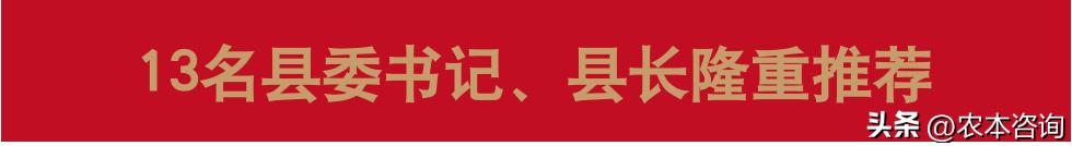 武鸣沃柑什么品种最好,武鸣沃柑热销全球