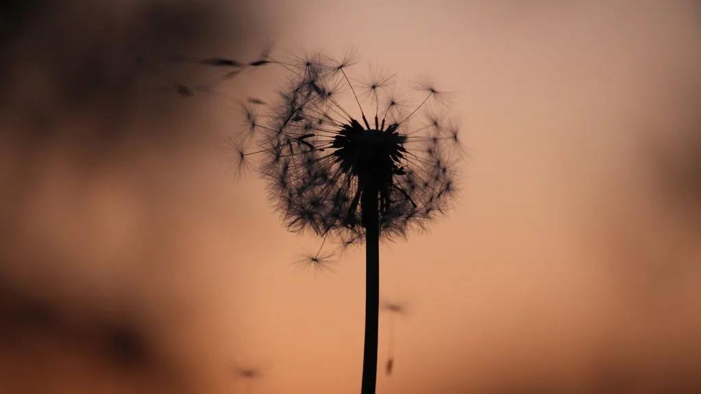 好文共分享全文,好文一起分享