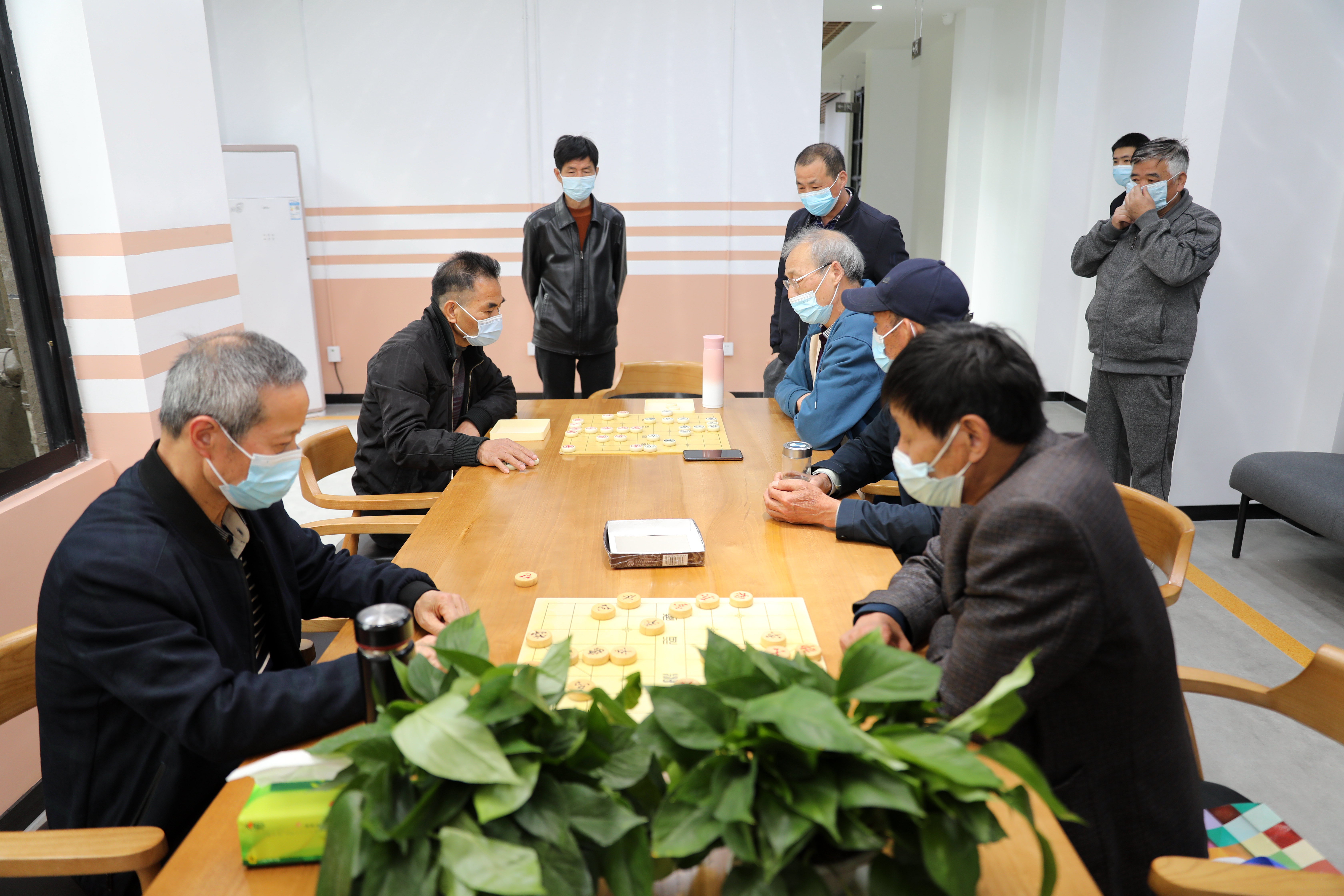 邂逅“未来社区”的美好红树湾社区正“华丽蜕变”