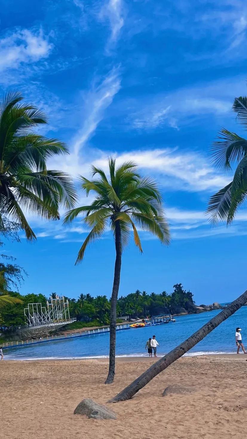 高清真人取图小程序,美人取图小程序