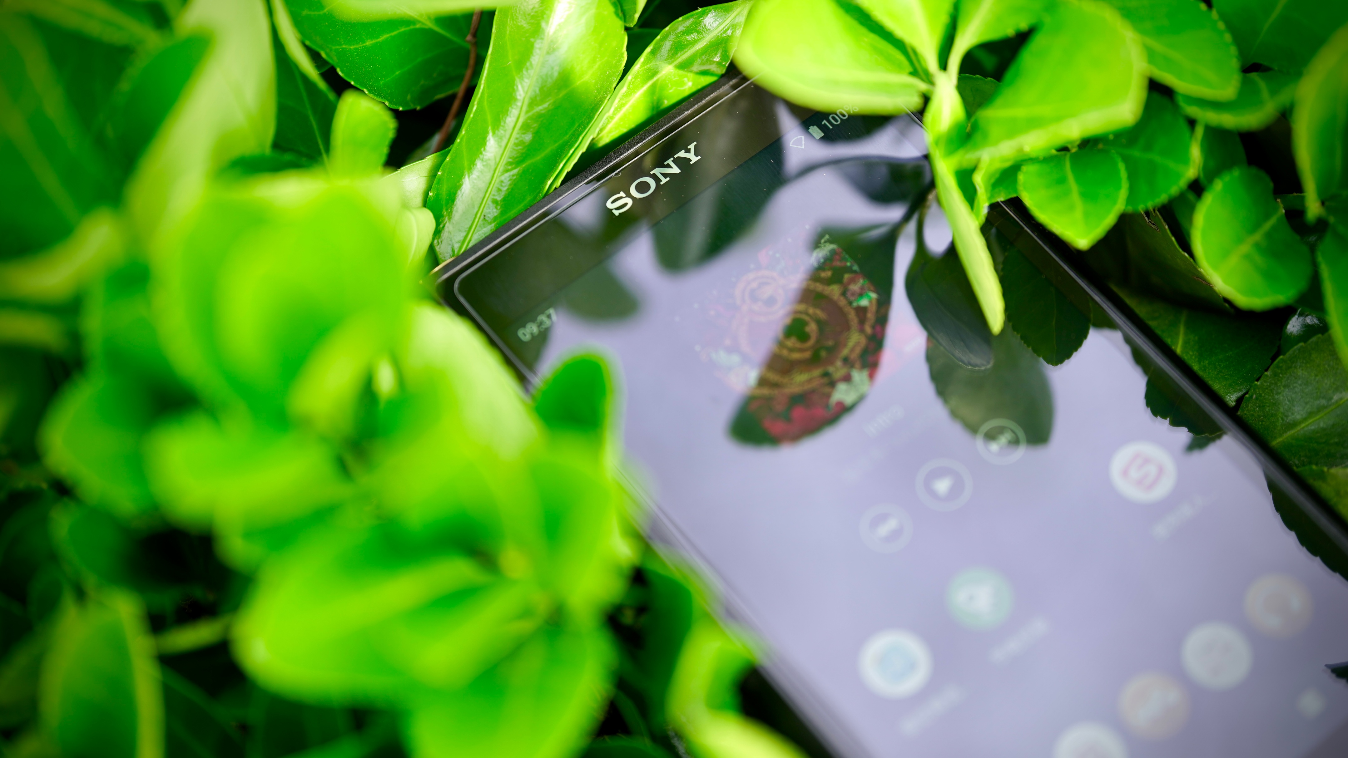 索尼walkmanwm2,索尼wm1zm2使用说明