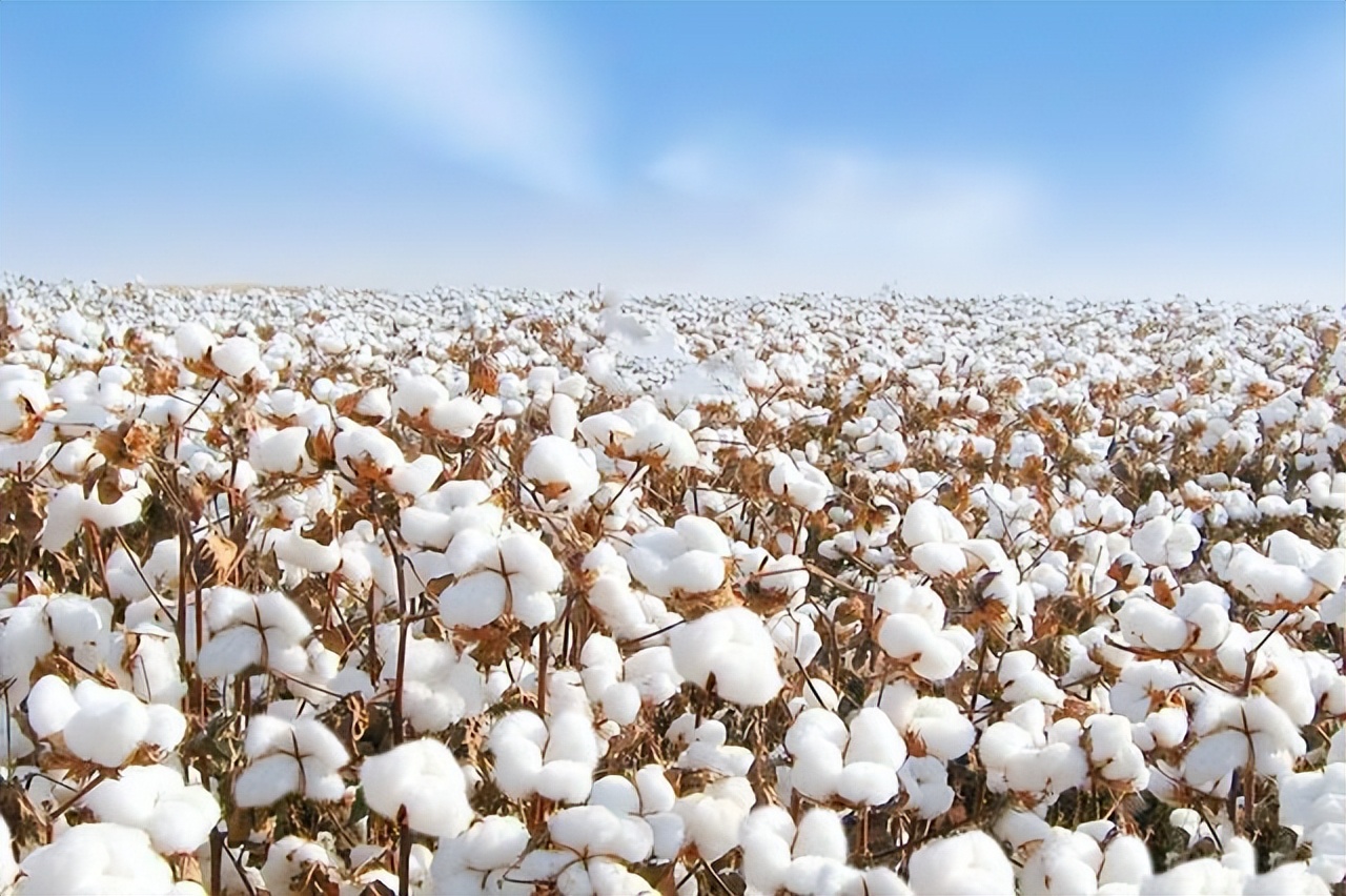 19涓栫邯鍒濊タ娆х殑宸ヤ笟鍙戝睍鎴愬氨,19涓栫邯娆ф床宸ヤ笟鍙戝睍濡備綍