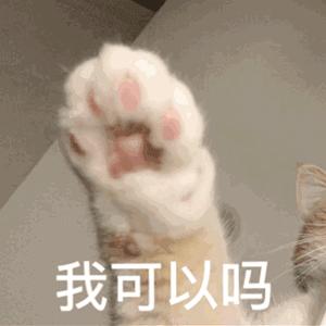 猫咪肉垫稍微有点黑色怎么回事,猫咪的脚为什么那么软