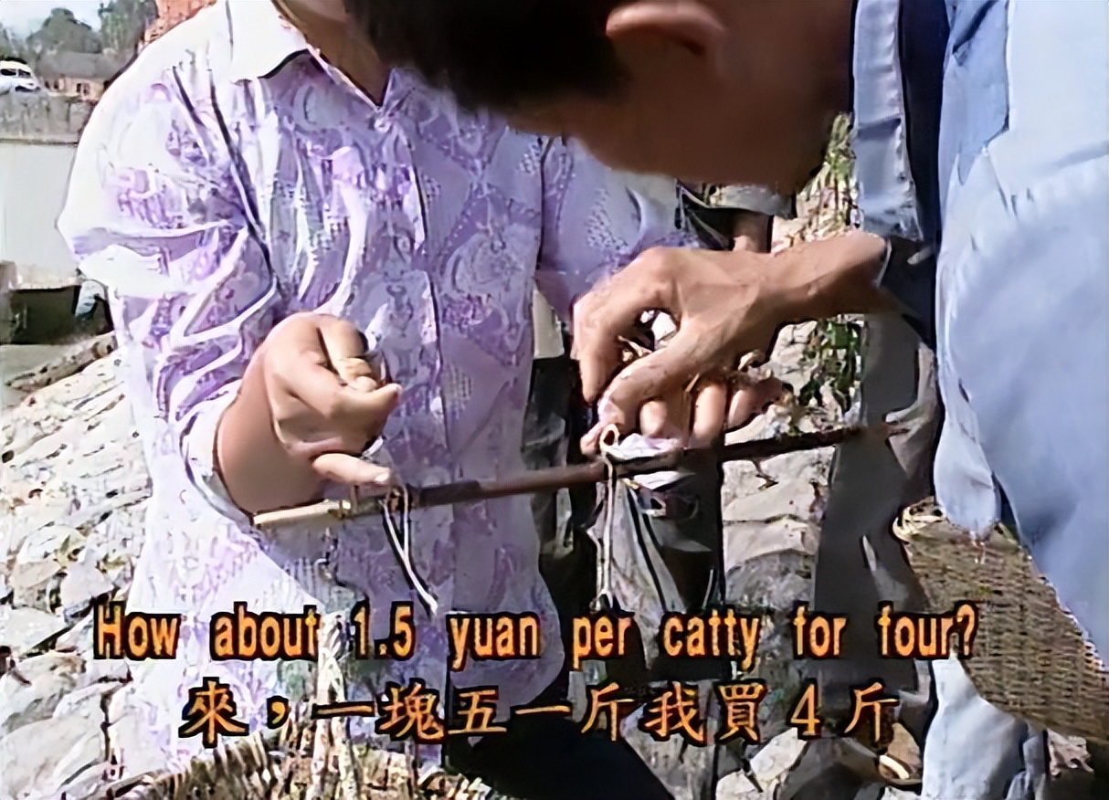 腾格尔的十大封神现场,腾格尔年轻采访完整版