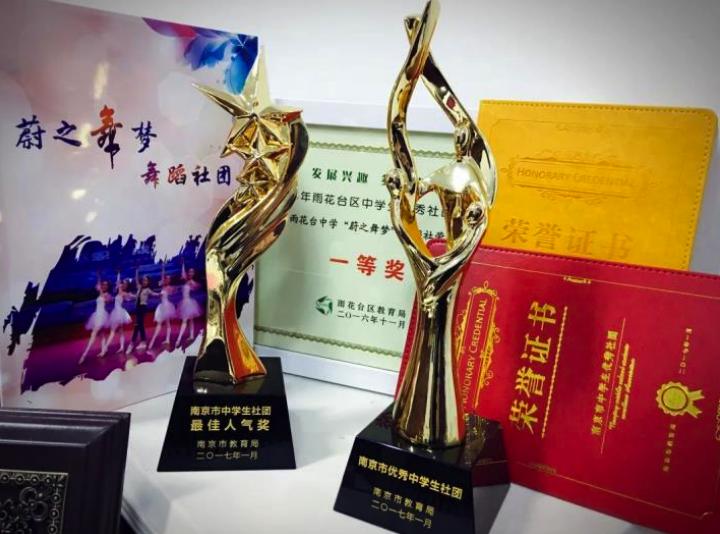 又获大奖！不愧是南京南大门最强初中