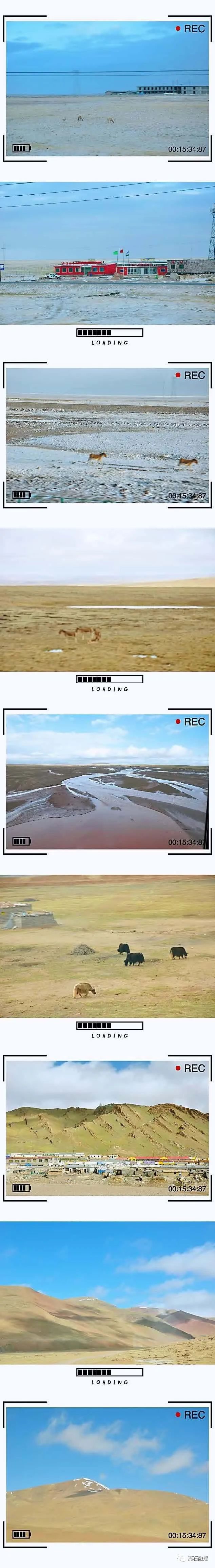 我们的旅行西藏之旅,我的西藏游记全部