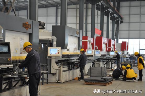 母猪产床尺寸一般是多少,自制母猪产床尺寸是多少