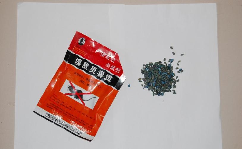 粘鼠板能把老鼠彻底消灭吗,为什么粘鼠板能把老鼠弄死