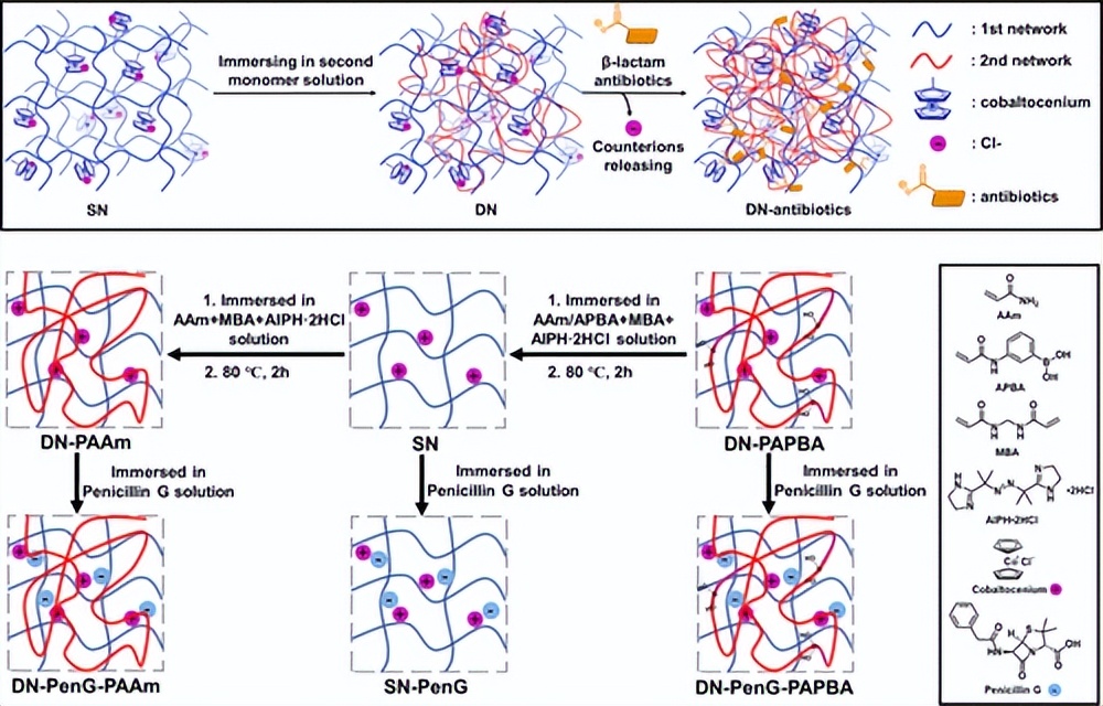双重聚合的坚韧抗菌金属聚合物双网络水凝胶