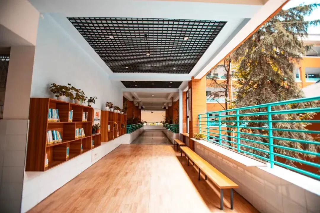 成都市金牛区成都七中八一学校,成都金牛区七中八一高中