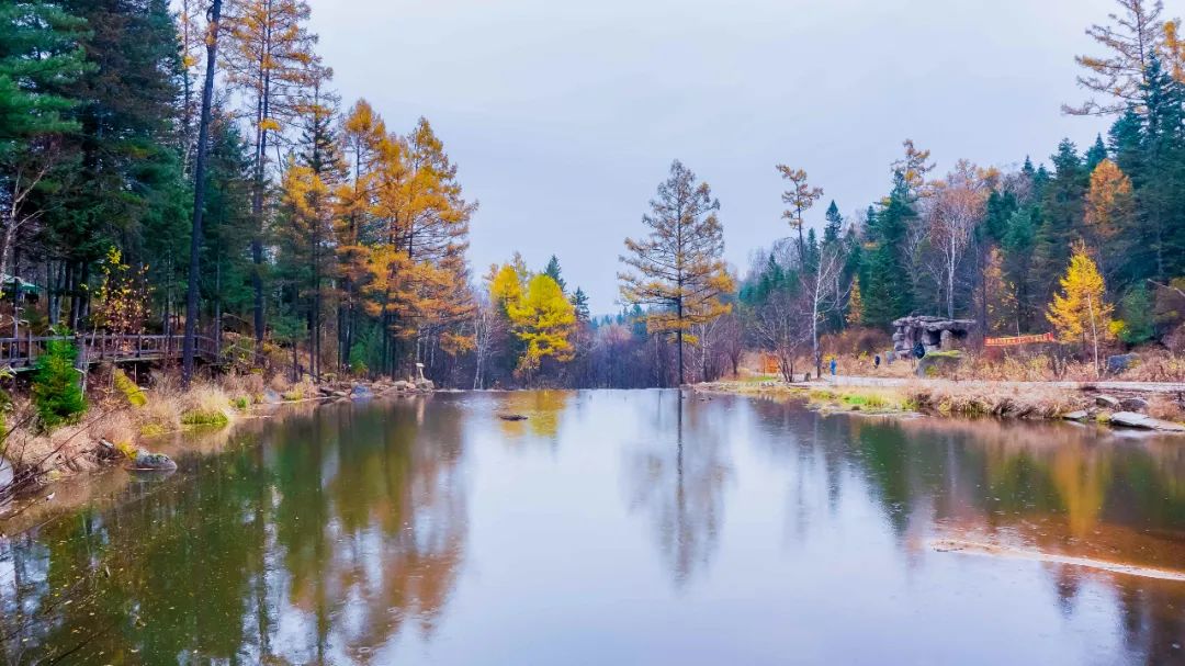哈尔滨纯玩旅游团推荐,暑假哈尔滨当地旅游团推荐