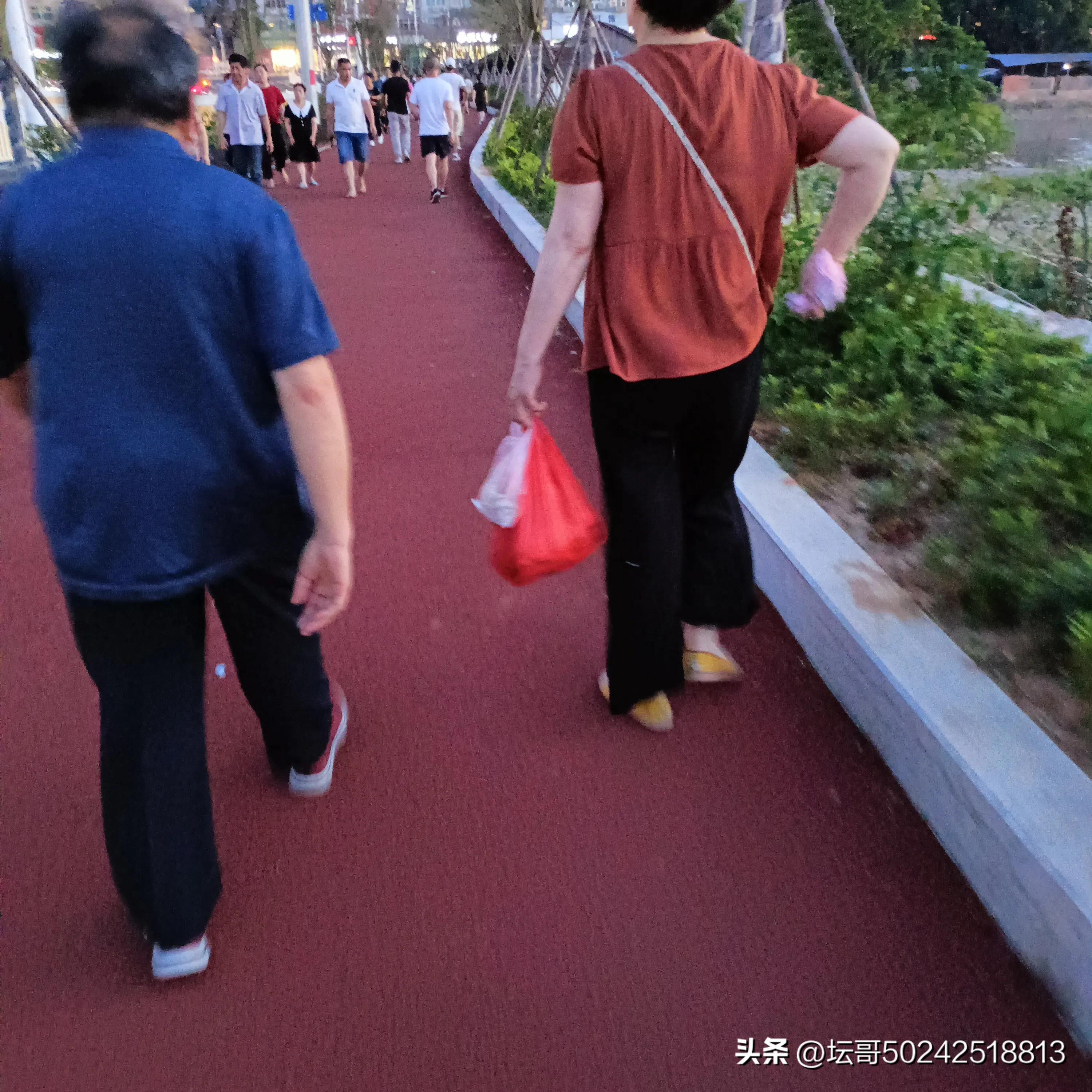 赛岐凤尾鱼价格,赛岐凤尾鱼