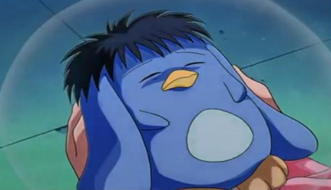 可爱治愈系的小动物动漫,动漫中可爱的动漫宠物