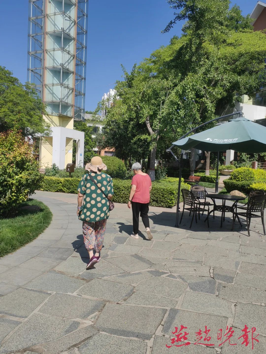 晒背、晒脚心、晒手心、坐晒烫的石墩……这个夏天你会主动求晒么