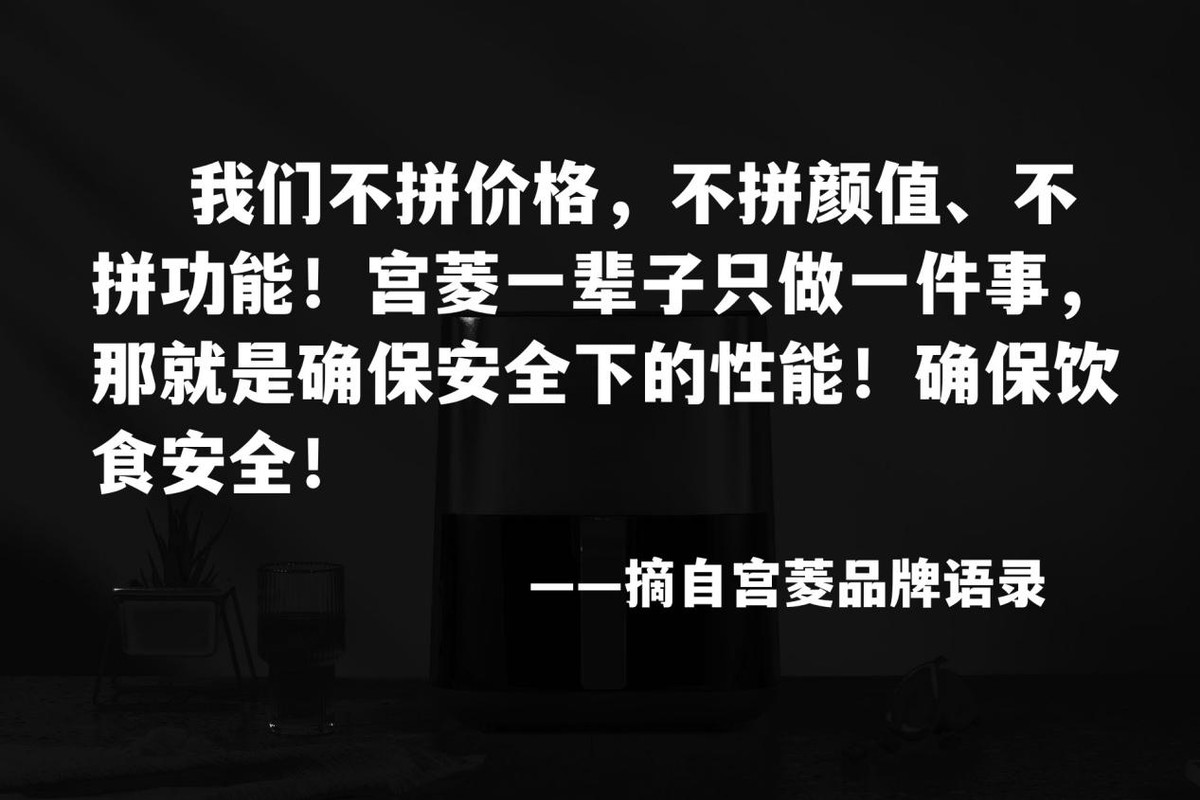 空气炸锅哪个品牌最好用最实惠,国产空气炸锅排行榜前十名