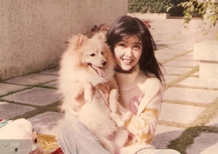 面部衰老皱纹解剖图,面部皱纹衰老对比图