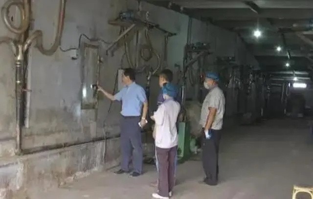 山东济南养殖蟑螂的李延荣,李延荣山东蟑螂处理垃圾第一人